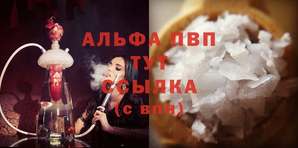 спиды Абаза