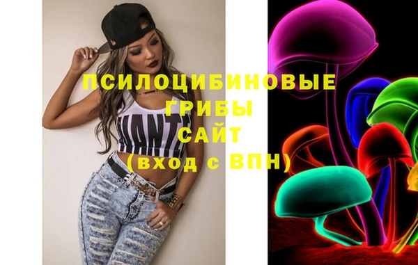 спиды Абаза