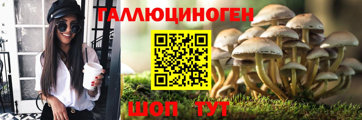 закладки  Псилоцибиновые грибы прущие грибы  Вход с VPN  Дубна 